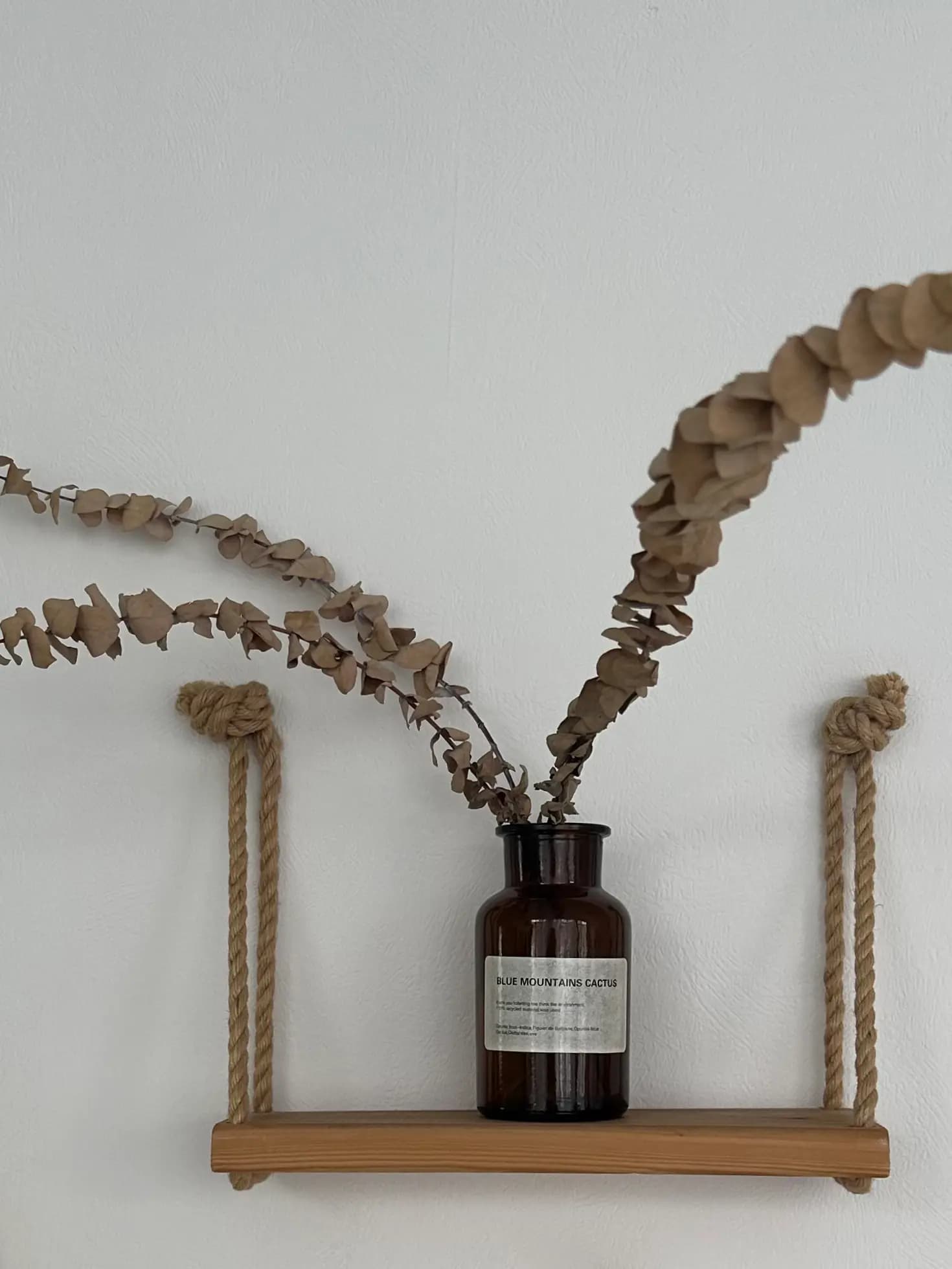 Сухоцветик