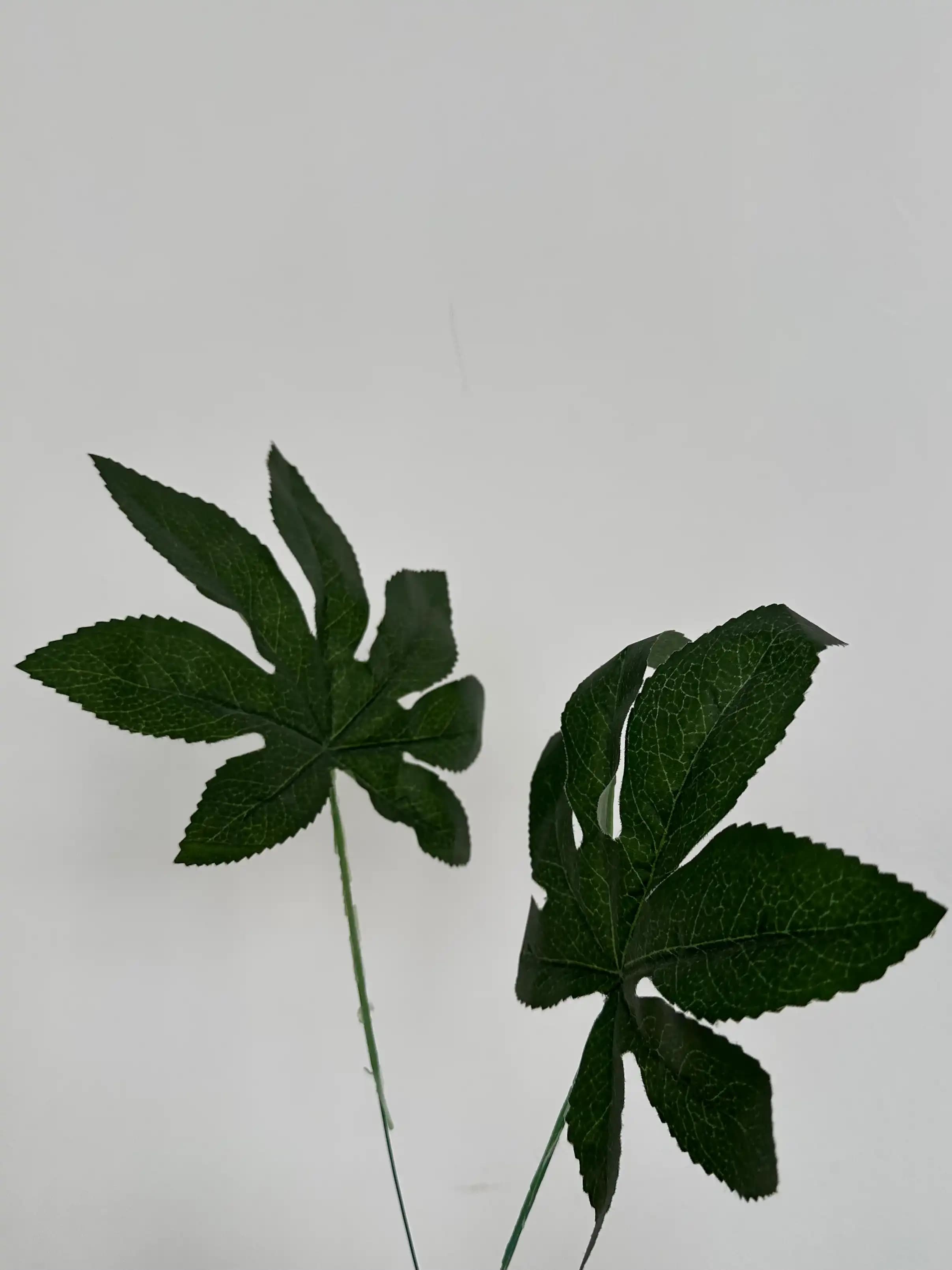 Искусственные листы аралии