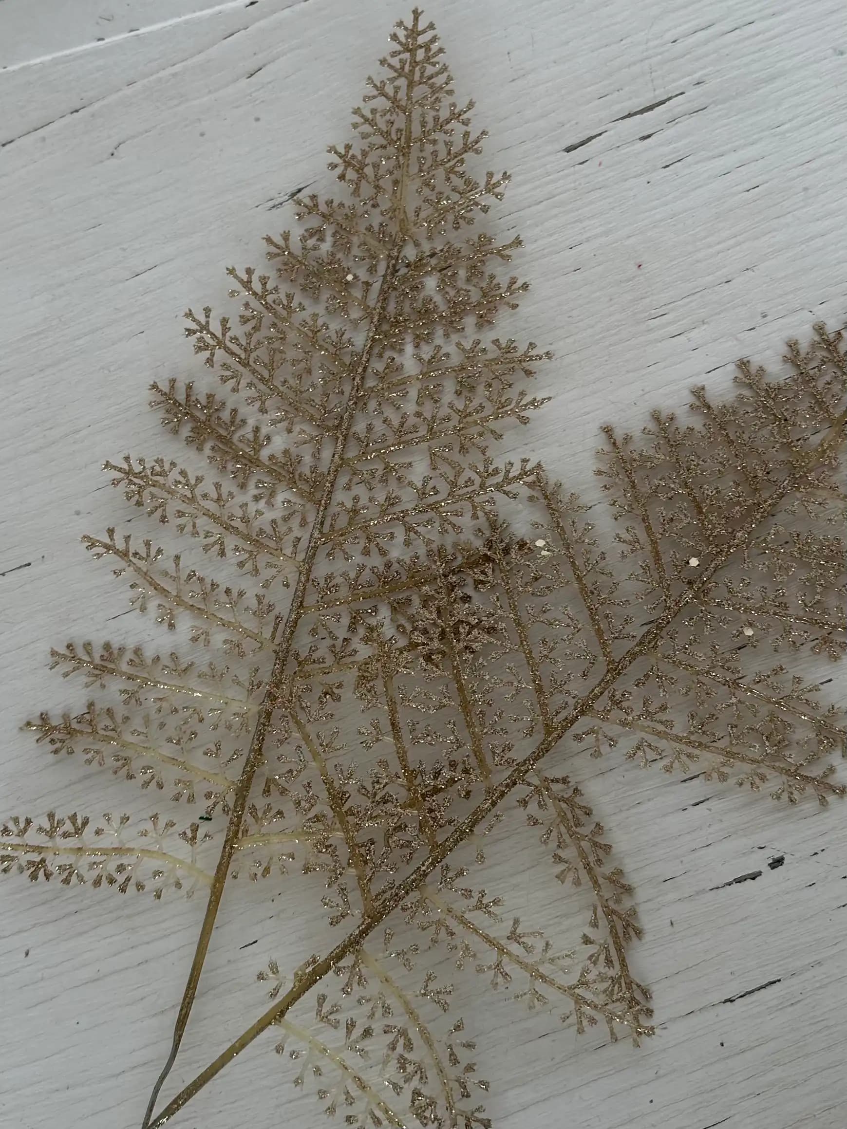 Золотистые листы папоротника